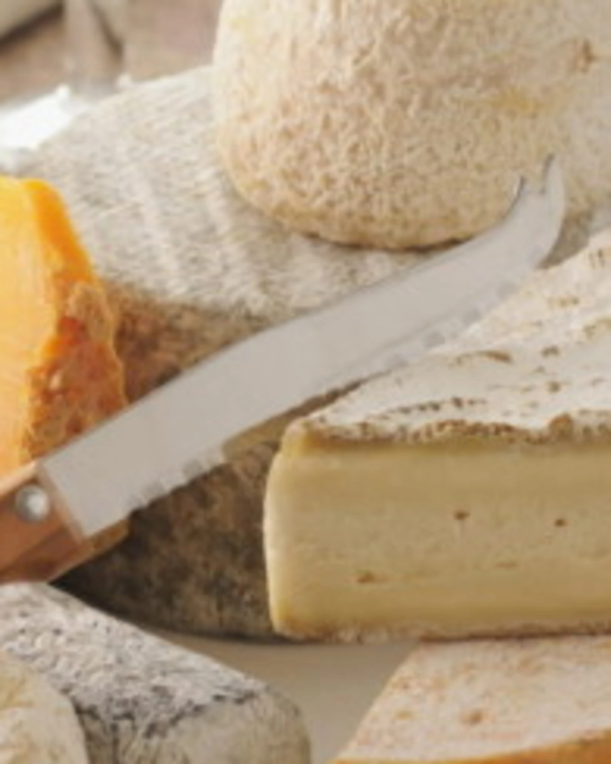 Francia, follia ecologista: vogliono vietare il formaggio