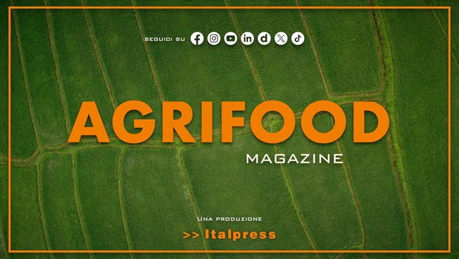 Agrifood Magazine - 17/6/2026