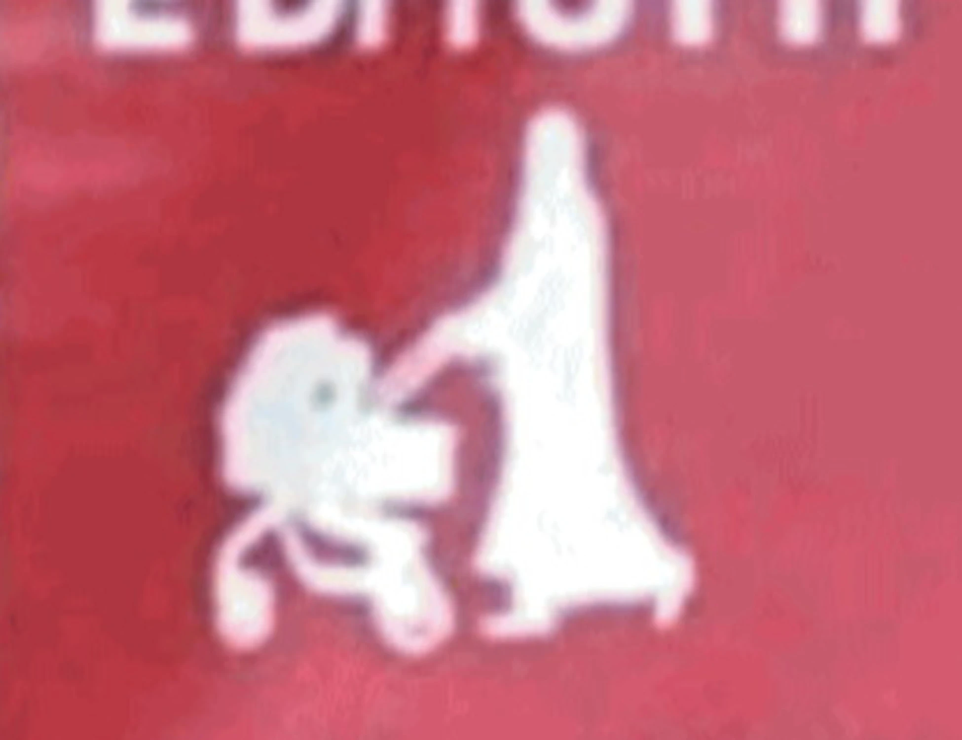 Jesi, sul cartello stradale compare il burqa: la rivolta di Lega e Fratelli d'Italia