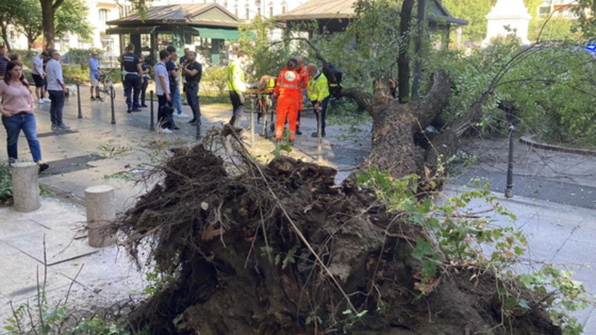 Milano, "già segnalato, eravamo terrorizzati": crolla un albero e ferisce tre passanti, uno è grave