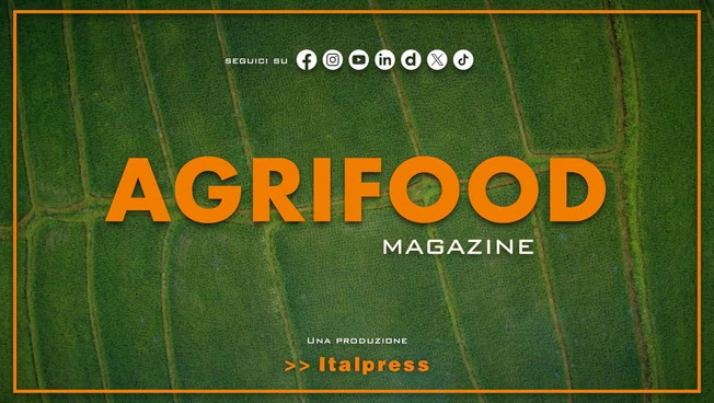 Agrifood Magazine - 7/5/2025