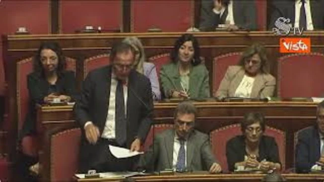 Boccia (Pd) in Aula cita il Presidente Mattarella: "Salari insufficienti"
