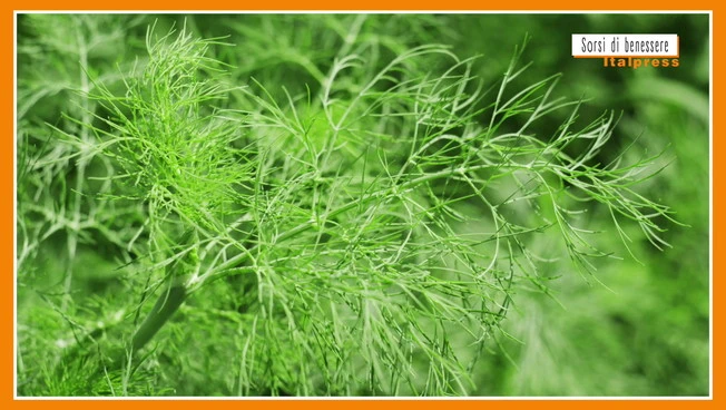 Sorsi di Benessere - Un pesto gustoso e leggero