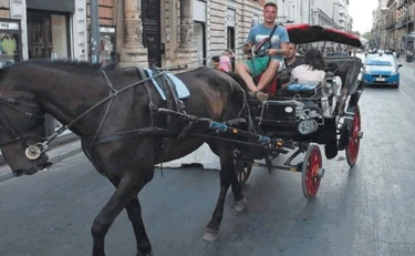 "Giro in carrozza?": il conto fa esplodere il caso