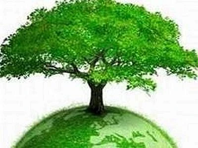 Green economy e ambiente come volano per uscire dalla crisi