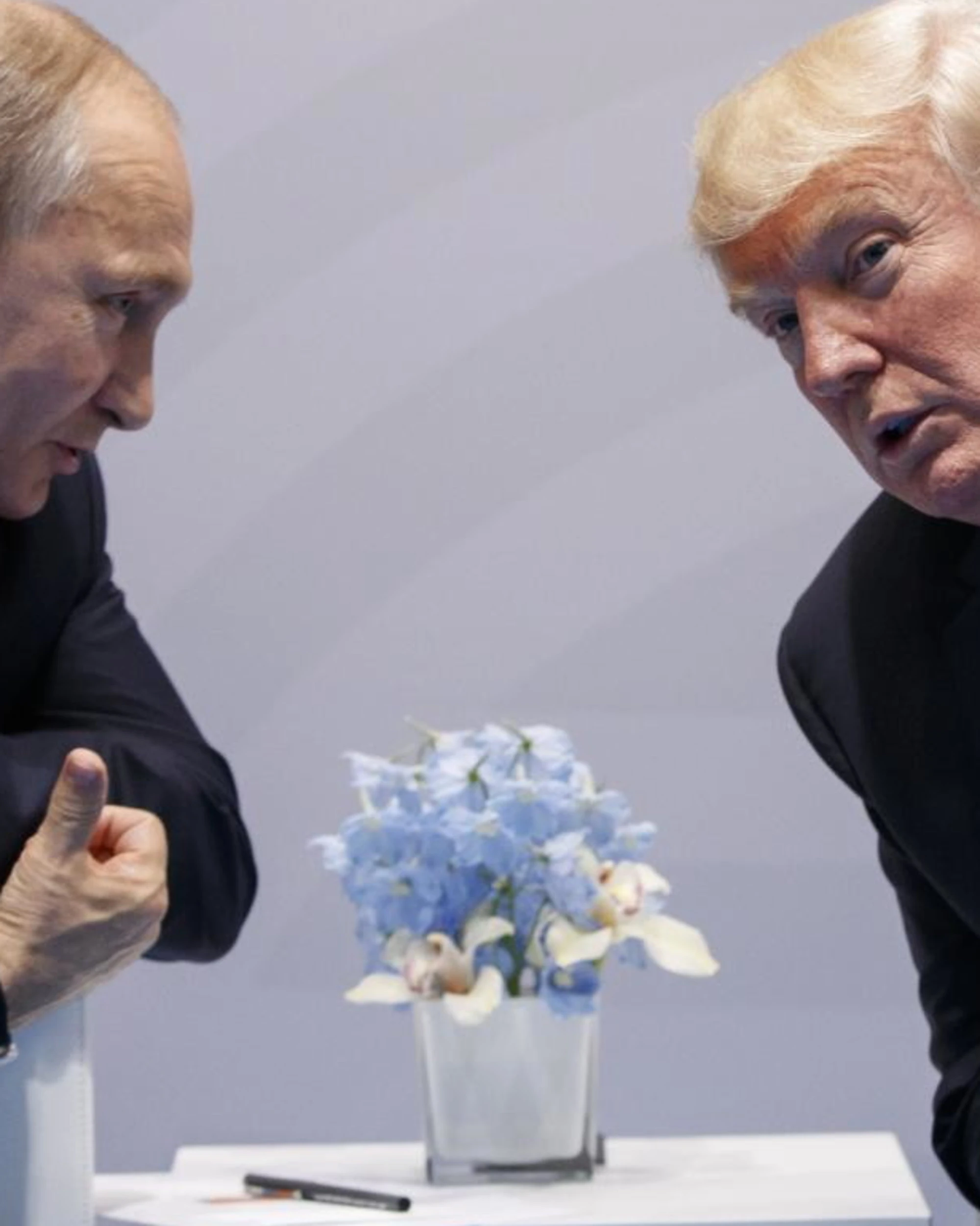 Trump-Putin, incontro "nei prossimi giorni": ipotesi Emirati. E lo zar apre a Zelensky