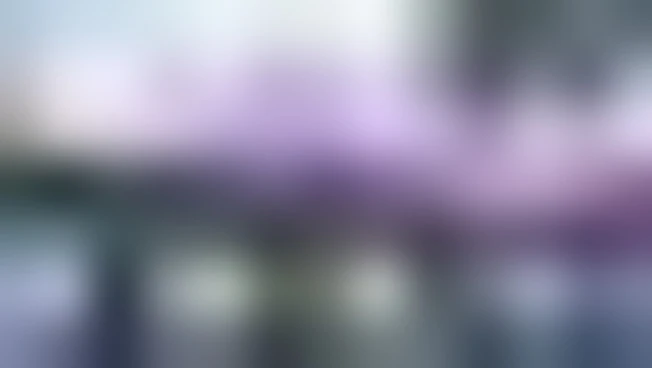 https://media.liberoquotidiano.it/pV-zea8bUp6nG8Xt1XojQN9bUUQeaUT9z-GY0Ee0A0A/width:800/quality:90/aW1hZ2VzLzIwMjUvMDkvMjkvMTM0NTMzNzg1LTA5MzRjZDRlLWRjYzQtNDhiZC1iYjM4LWQzZmM5YmVmZTNiNC5qcGc.webp