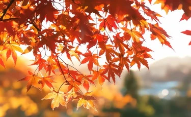 https://media.liberoquotidiano.it/pV1ufGe6LUYxQc1MzgYV6bIeZVN3XN3ImRlT9XghF7g/width:800/quality:90/aW1hZ2VzLzIwMjUvMTAvMDMvMDc0MjI2NjMyLTViODg0NTI3LTM3MDMtNGQ4Yy1iOWQ1LTYzODFlM2Q5ZTQ2NS5qcGc.webp