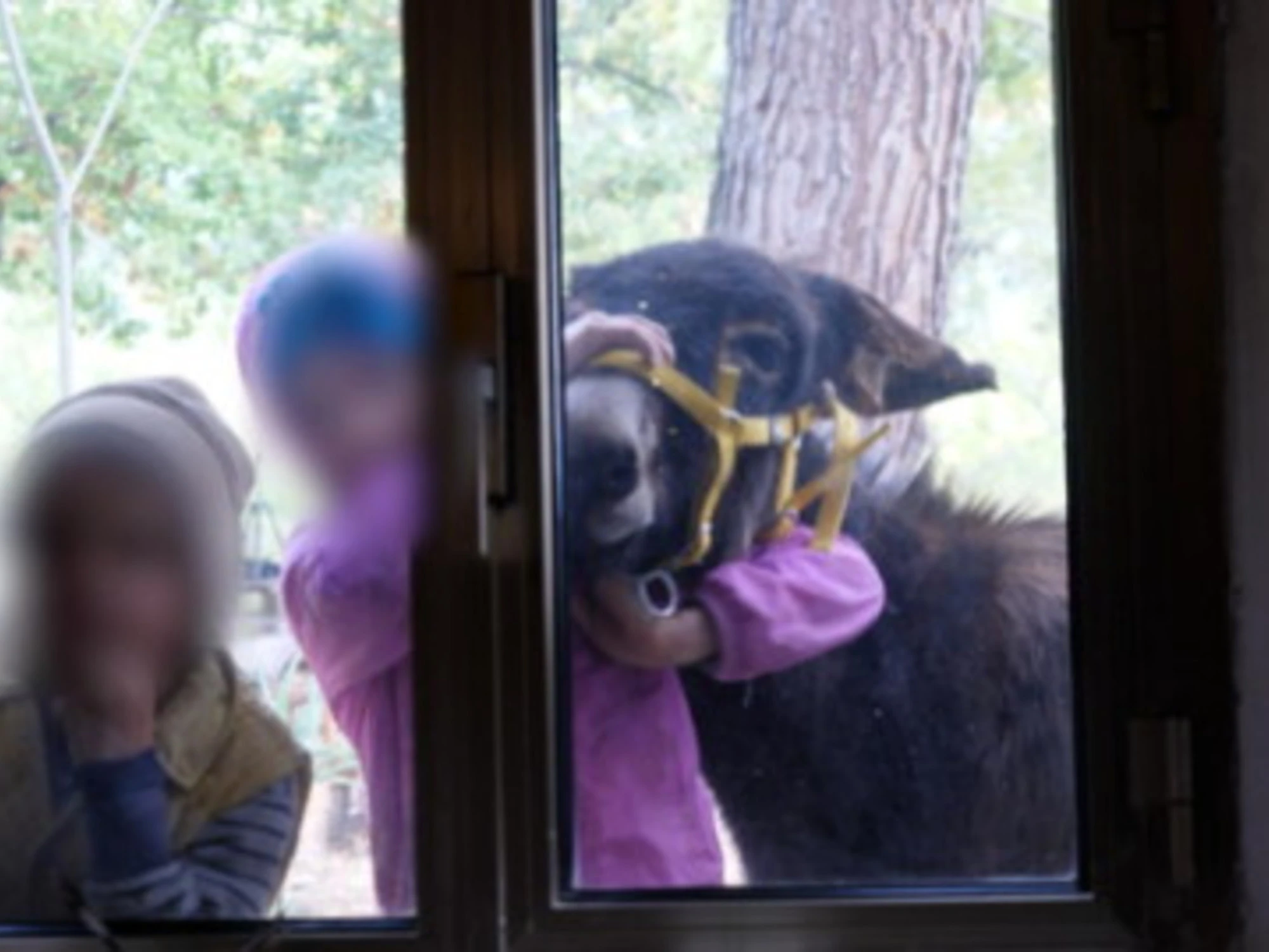 Famiglia nel bosco, la clamorosa frase sugli "altri bimbi" della figlia di 8 anni