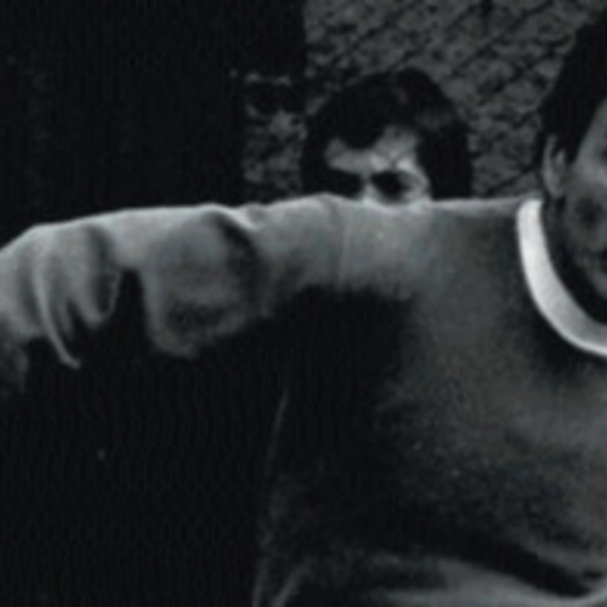 Negazionismo a sinistra sul Pasolini conservatore