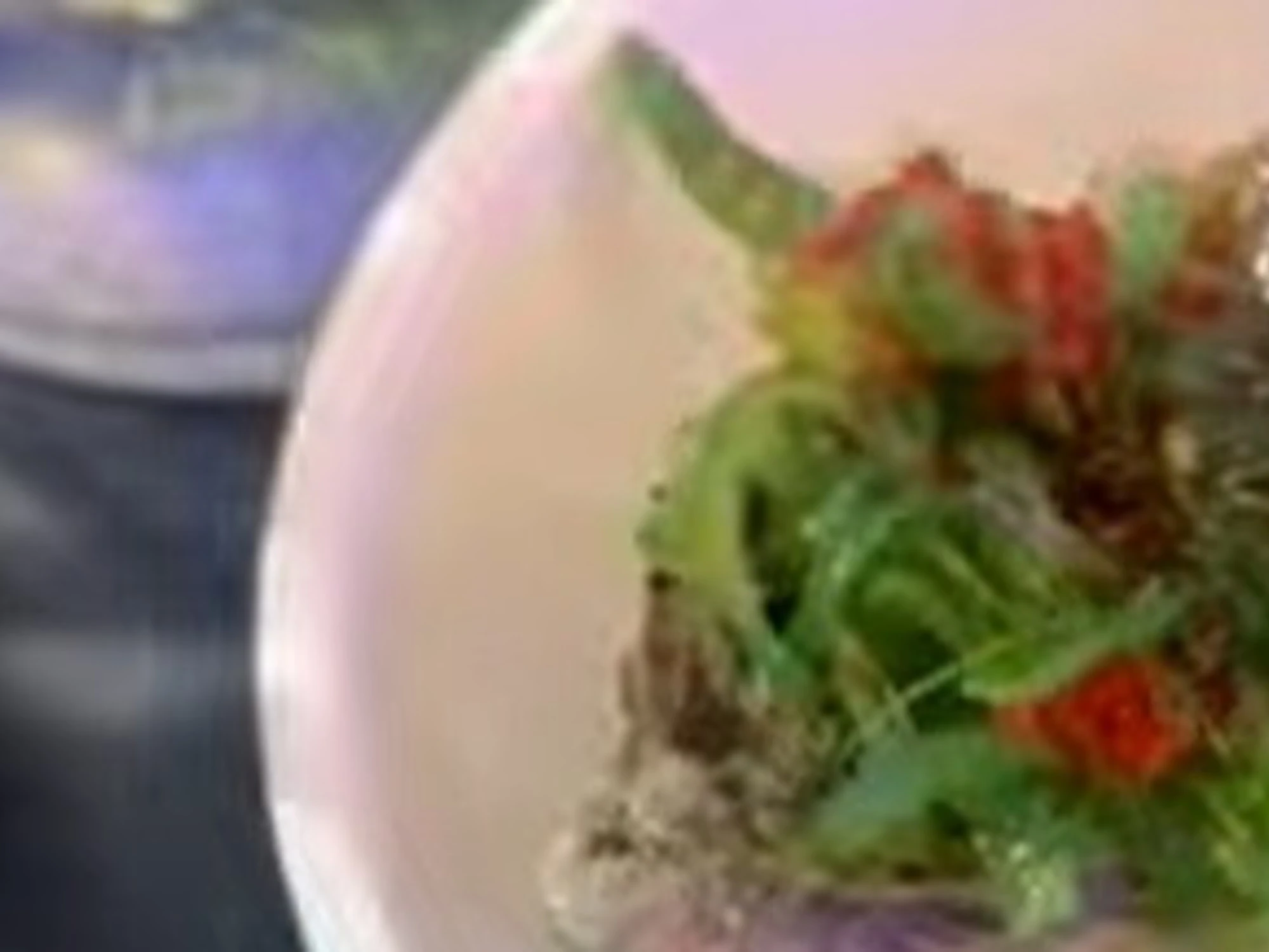 Perugia, verme nell'ostrica: il video (disgustoso)