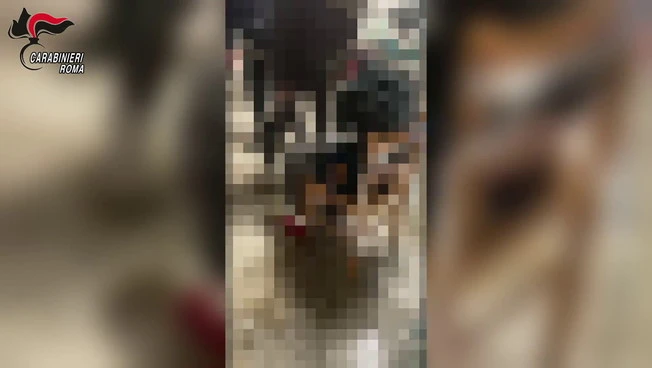 Roma, torture e sequestri per debiti di droga, 11 misure cautelari