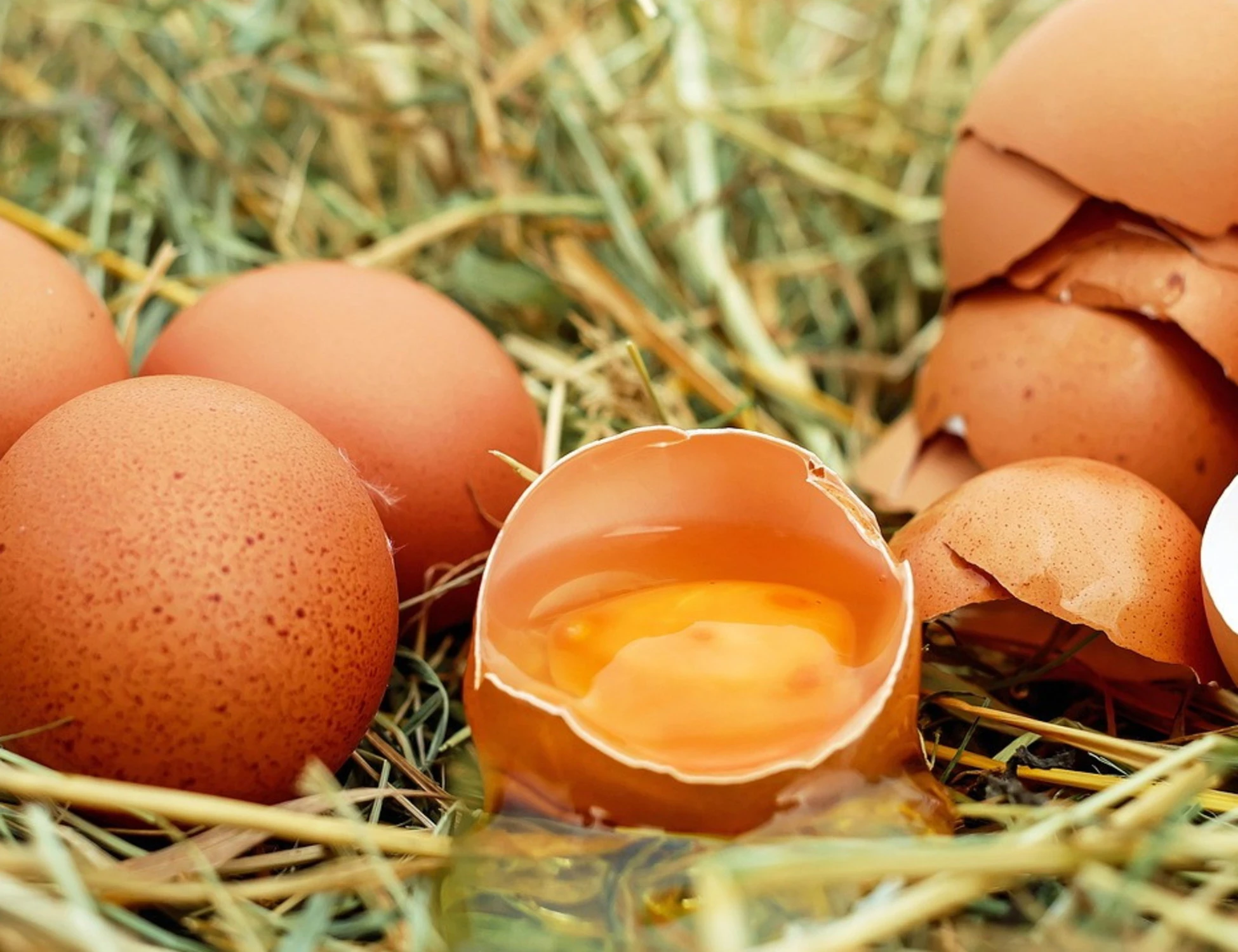 Uova, fanno bene o male? Dipende da quando le si mangia