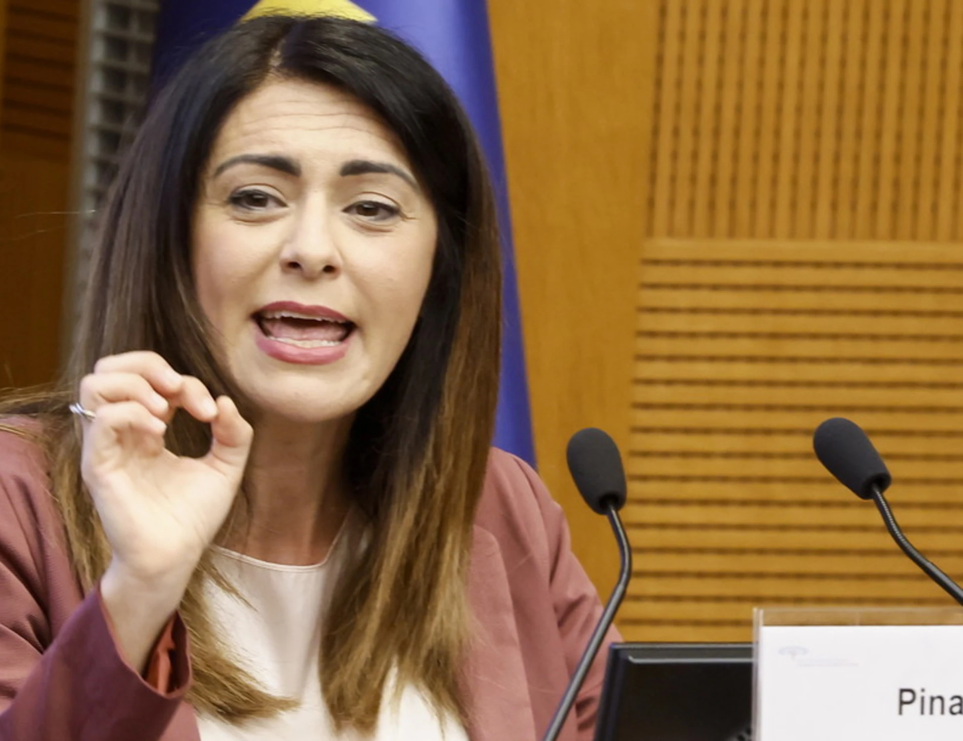 Pina Picierno seppellisce il Pd: "Commenti imbarazzanti, non c'è più nulla da salvare"