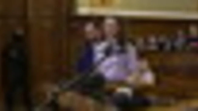 Ungheria, 8 anni all'antifascista tedesca Maja T.: "Processo farsa"