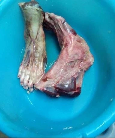 383x459