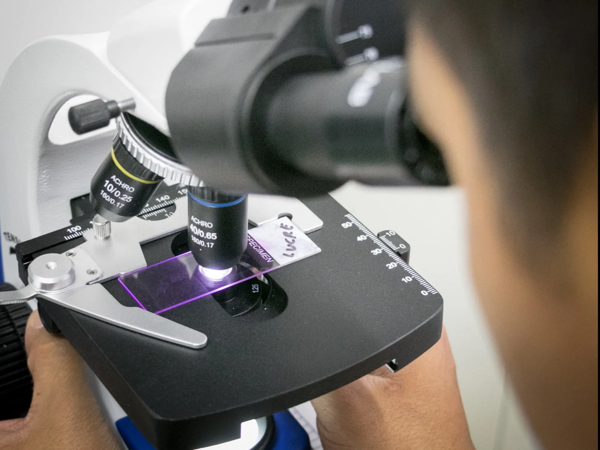 Leggi l'articolo: L'allenamento non conta: come invecchiano i muscoli