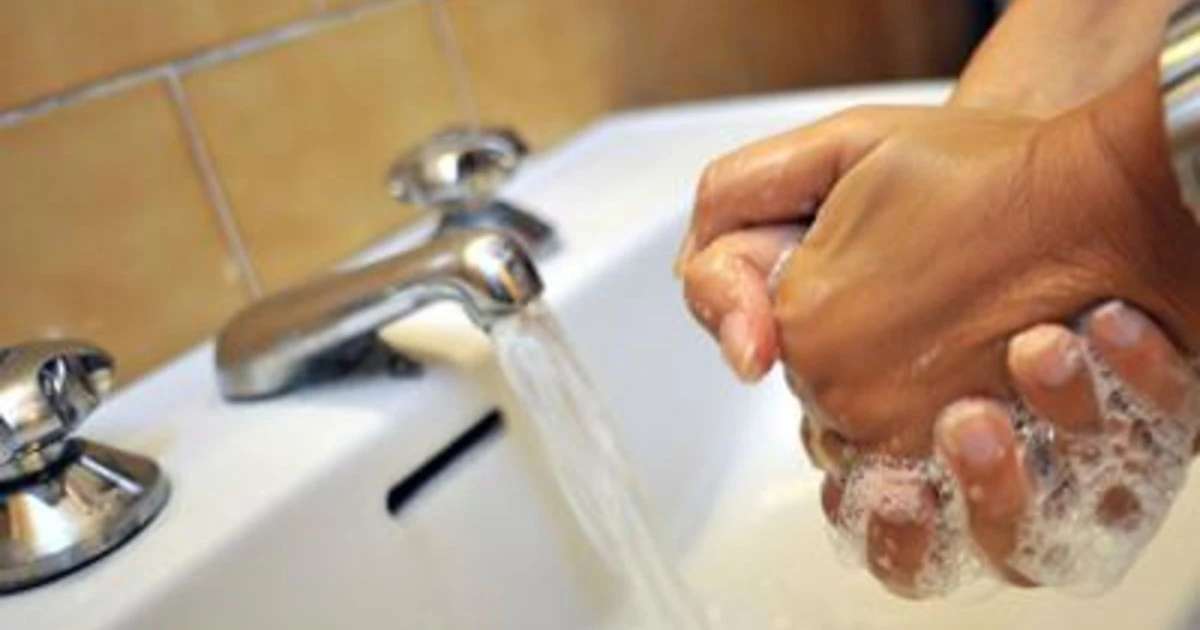 Coronavirus, Capua: "Lavarsi spesso le mani contando fino a 21"