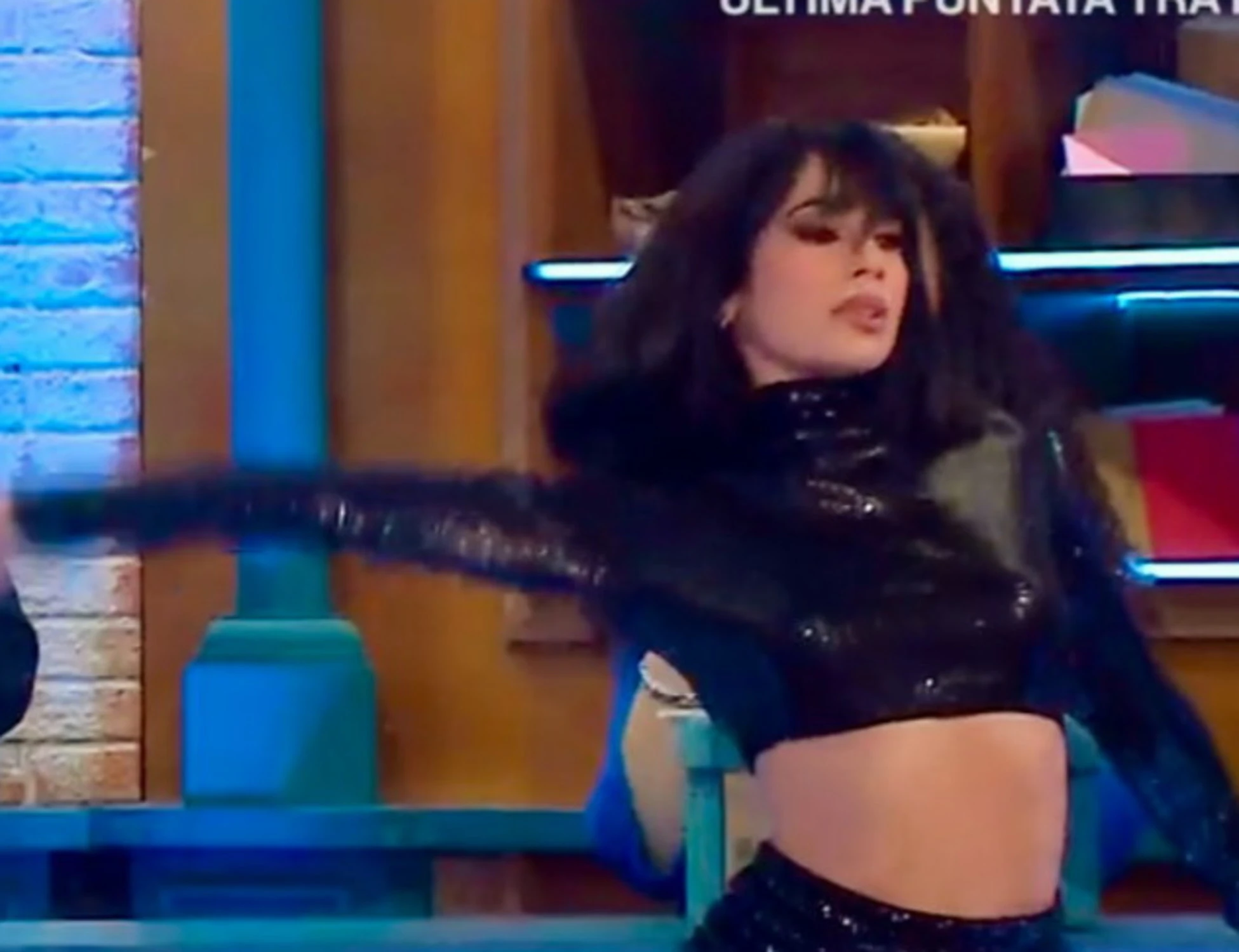 Affari tuoi, Herbert Ballerina incrocia la sua sostituta: occhio alla faccia