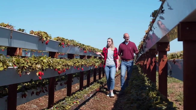 Italijanska vlada predstavila načrt »Coltiva Italia« za kmetijstvo