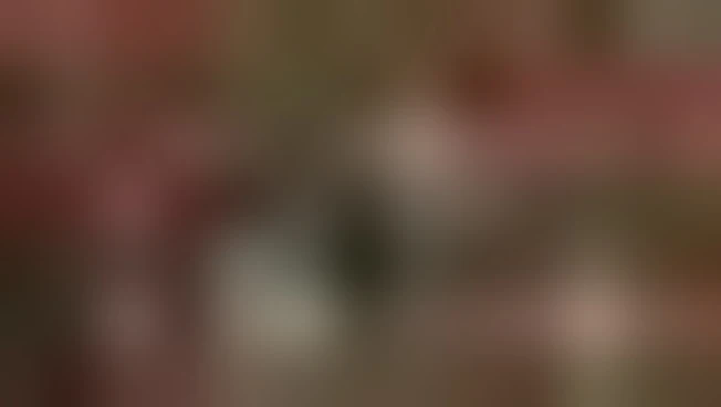 https://media.liberoquotidiano.it/plUKC3BmhEKUn5arbMDo84C-Rz4pKdxqVLI63tTlEn8/width:800/quality:90/aW1hZ2VzLzIwMjUvMDkvMjUvMTEzNzQ3NzY2LTYzYjkxZjhjLTZhNWUtNDE2OC1iNjMzLTc3MDhmNDQ4MGE2My5qcGc.webp