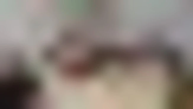 https://media.liberoquotidiano.it/ppVPZ1JhcNYZ1Cnti-kRH9R-vsSy8DKPwTi_iJE8R5Y/width:800/quality:90/aW1hZ2VzLzIwMjUvMTAvMjQvMTczMDEzNzExLTNmNWM4YzBkLTMzMDItNDRiZS04NTIwLTc2YjI2YmJjMzVhZC5qcGc.webp