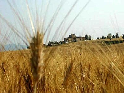 Crescono le fattorie sociali. Ambiente, solidarietà ed etica gli ingredienti base