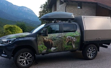 Orsa JJ4 premeščena v Nemčijo po smrtnem napadu