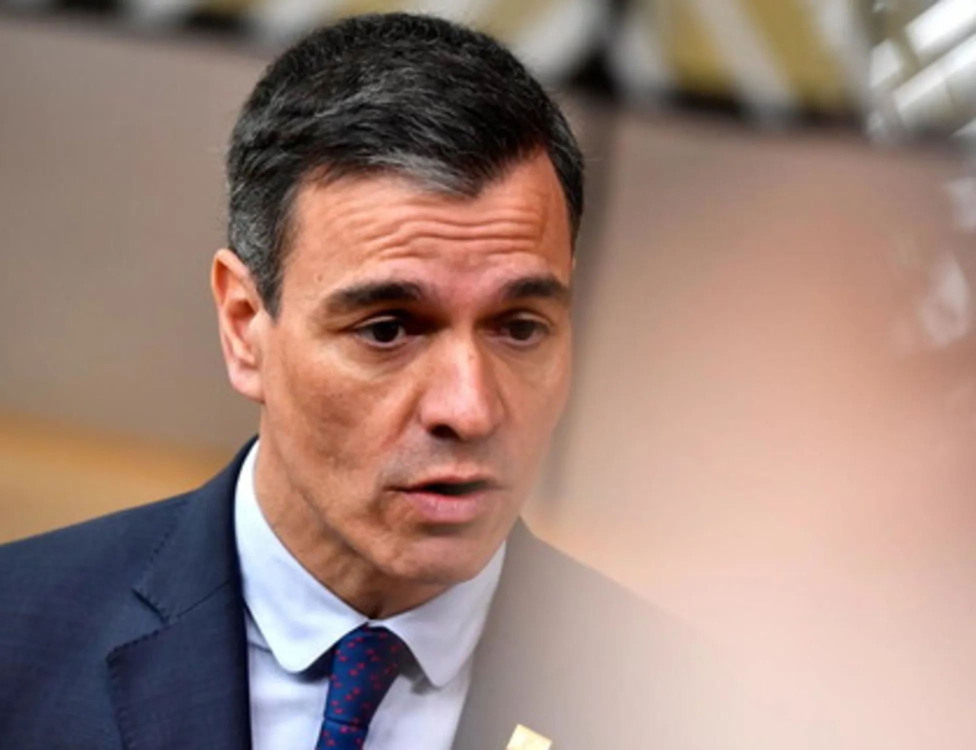 Leggi l'articolo: Sondaggio-choc per Sanchez: dove vola Vox, ora è finita?