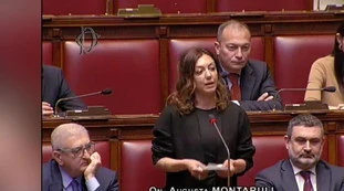 Arianna Meloni, bagarre alla Camera, Montaruli: "Tutto ciò è vomitevole"