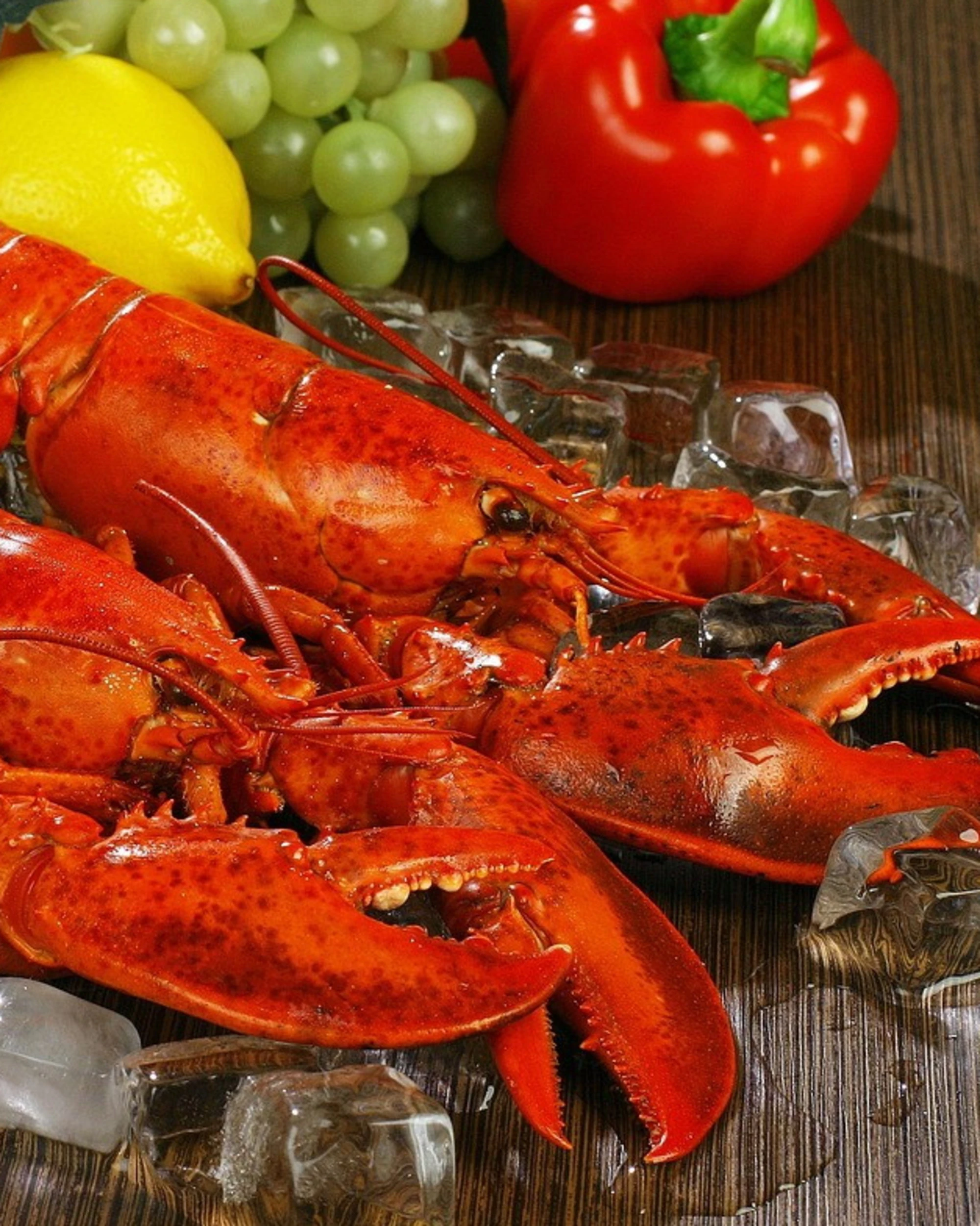 Ponza, la maledizione dell'aragosta al ristorante: scontrino, rapimento e botte