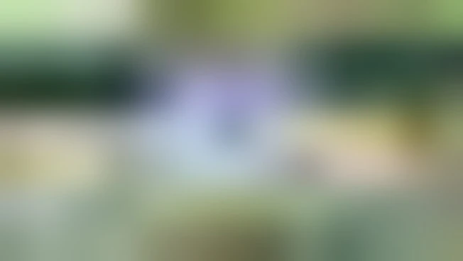 https://media.liberoquotidiano.it/q7K1mSvWdgnnlTzwQOKKzOoFPyEaFlyuOeOuwKU5qmk/width:800/quality:90/aW1hZ2VzLzIwMjYvMDYvMDUvMTcxMDI0NDEyLTc4NmQxNjIxLWYwYmMtNDkzZC05ZjBmLThhYjhmZjk2ZTIwNC5qcGc.webp