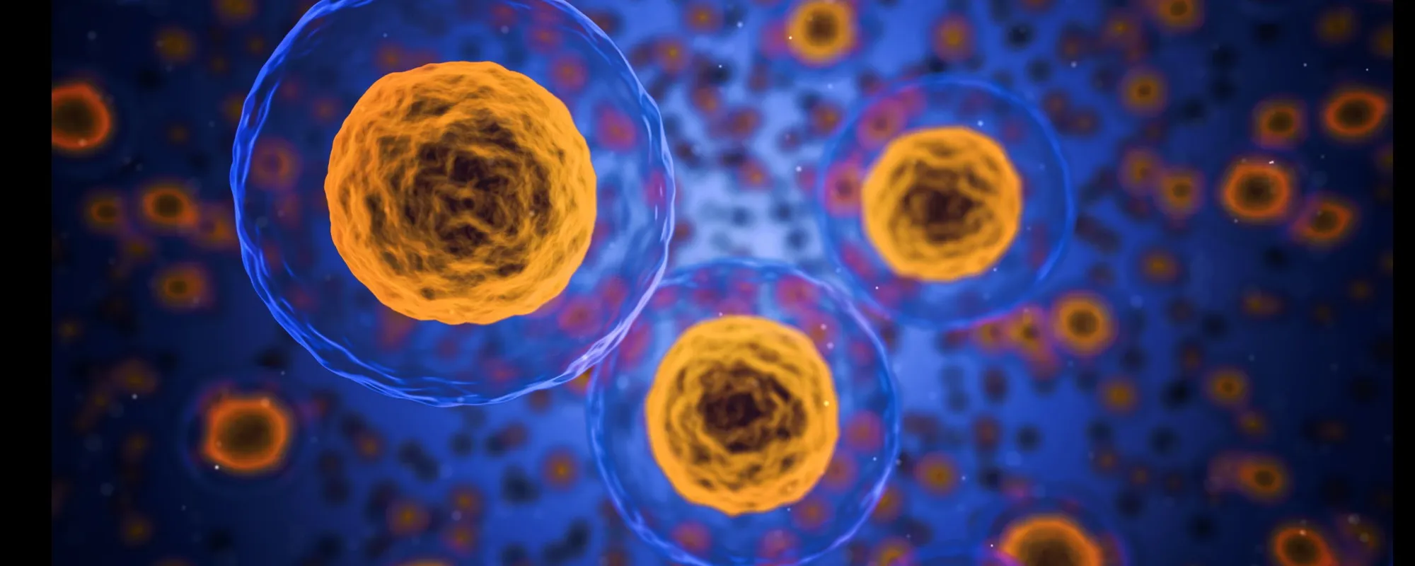 Cancro: nei linfonodi la nuova arma contro i tumori