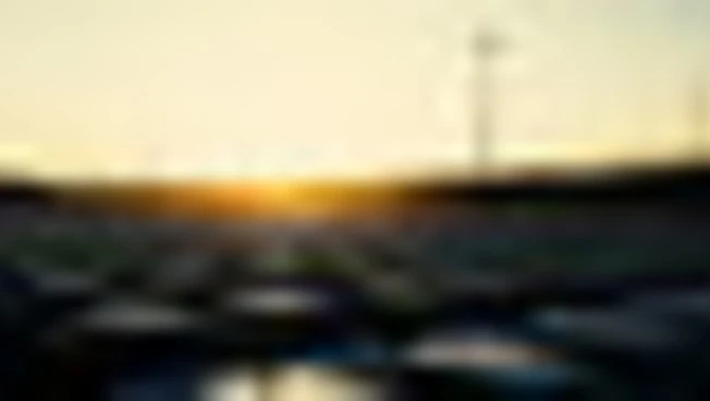 https://media.liberoquotidiano.it/qB9pd9-E3BZvz4ZQNduZjzawvHIpC9cZ8_24IAYs25g/width:800/quality:90/aW1hZ2VzLzIwMjYvMDUvMDUvMTcxNTQ2MTUzLWI3MmExZjIyLWM1MTktNDM2MC05NDhkLTQwYTI0MDkxYTAzOC5qcGc.webp