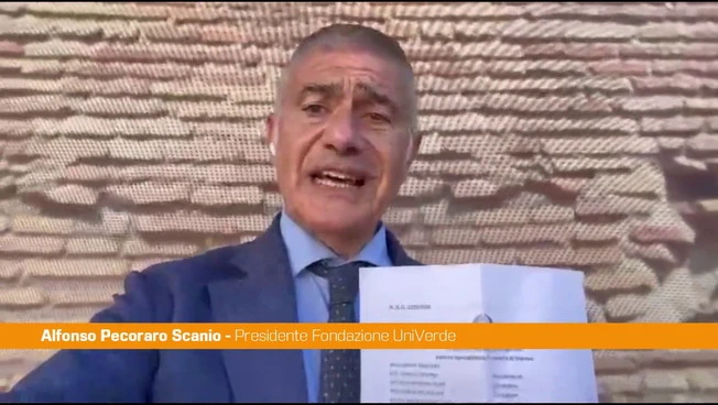 Ex Ilva, Pecoraro Scanio "Il Governo garantisca salute e lavoro"