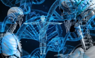 Proteine, ecco come si "piegano" all'interno del nostro corpo