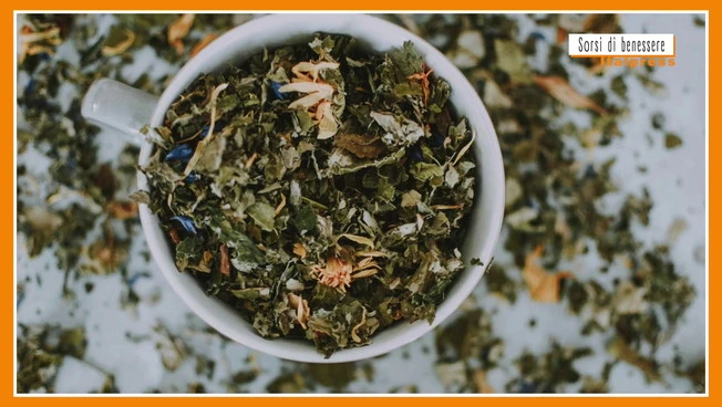 Sorsi di Benessere - Una tisana con betulla e tarassaco