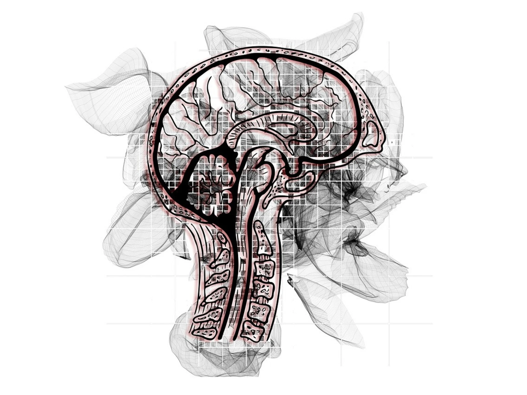 Il declino cognitivo parte dall'intestino: la scoperta sul microbioma