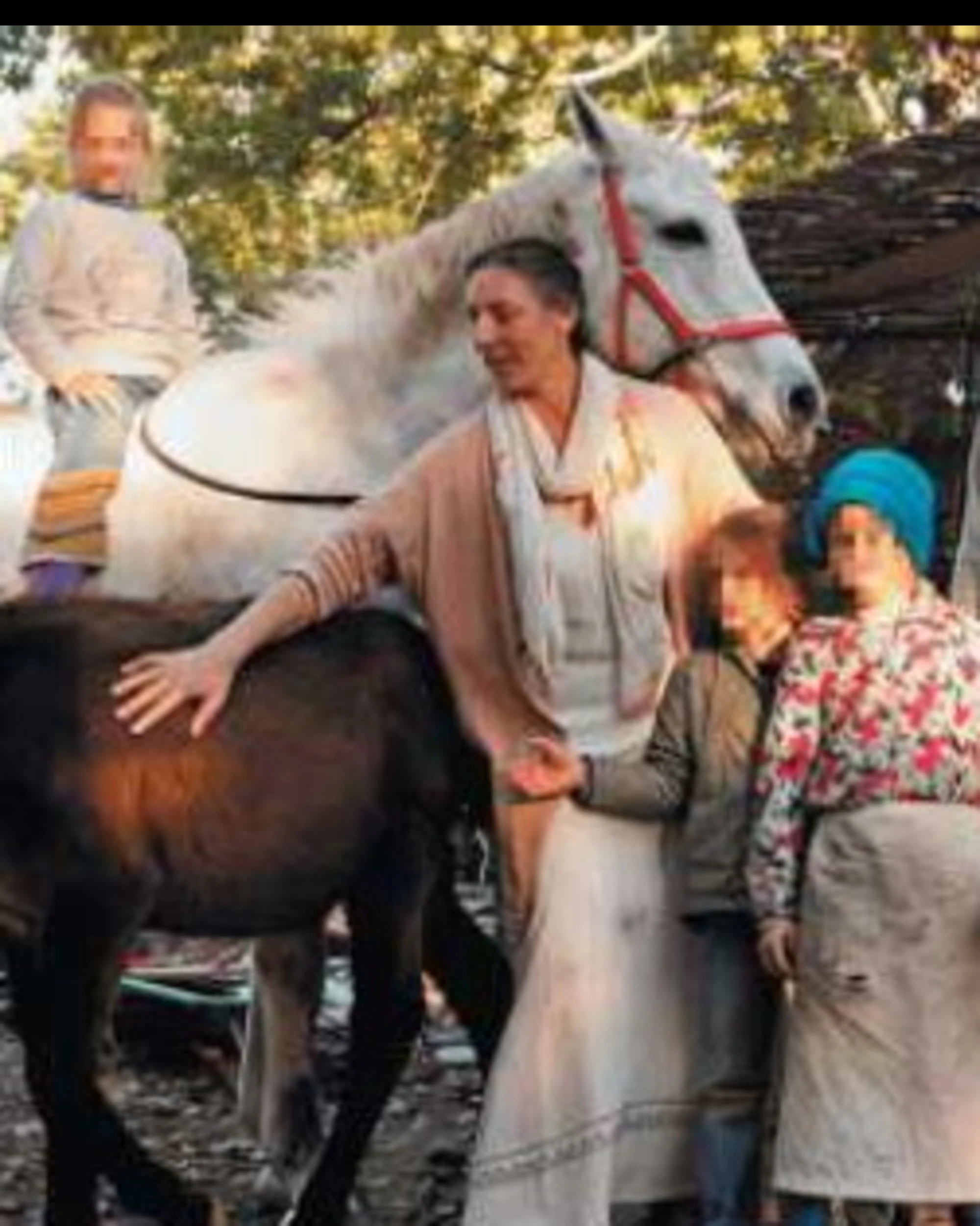 La famiglia nel bosco, le carte e tanti dubbi