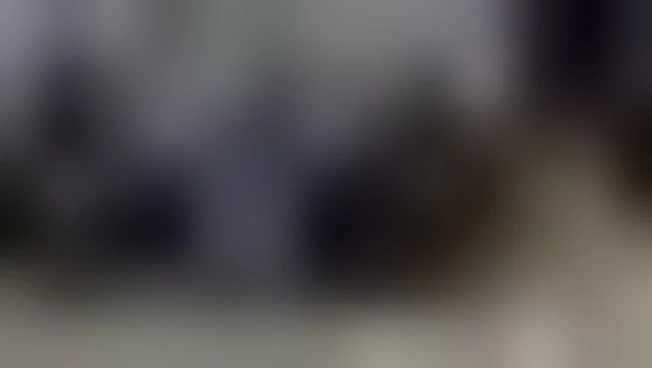 https://media.liberoquotidiano.it/qLepLmd8KdXutI2arZpK0nCOmuEXSL-8ga8jErpwI2k/width:800/quality:90/aW1hZ2VzLzIwMjUvMDkvMjkvMTczOTIwMzMzLWMxNmU0ZjE3LTZkY2EtNGQzYi05NjhiLTRlOGE2ZTBkMTVlYy5qcGc.webp