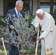 Il Papa: pace Israele-Palestina