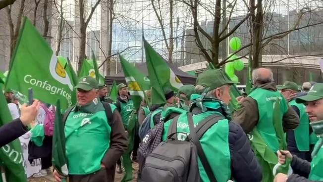 Gli agricoltori in piazza a Bruxelles per chiedere un cambio di rotta all'Ue