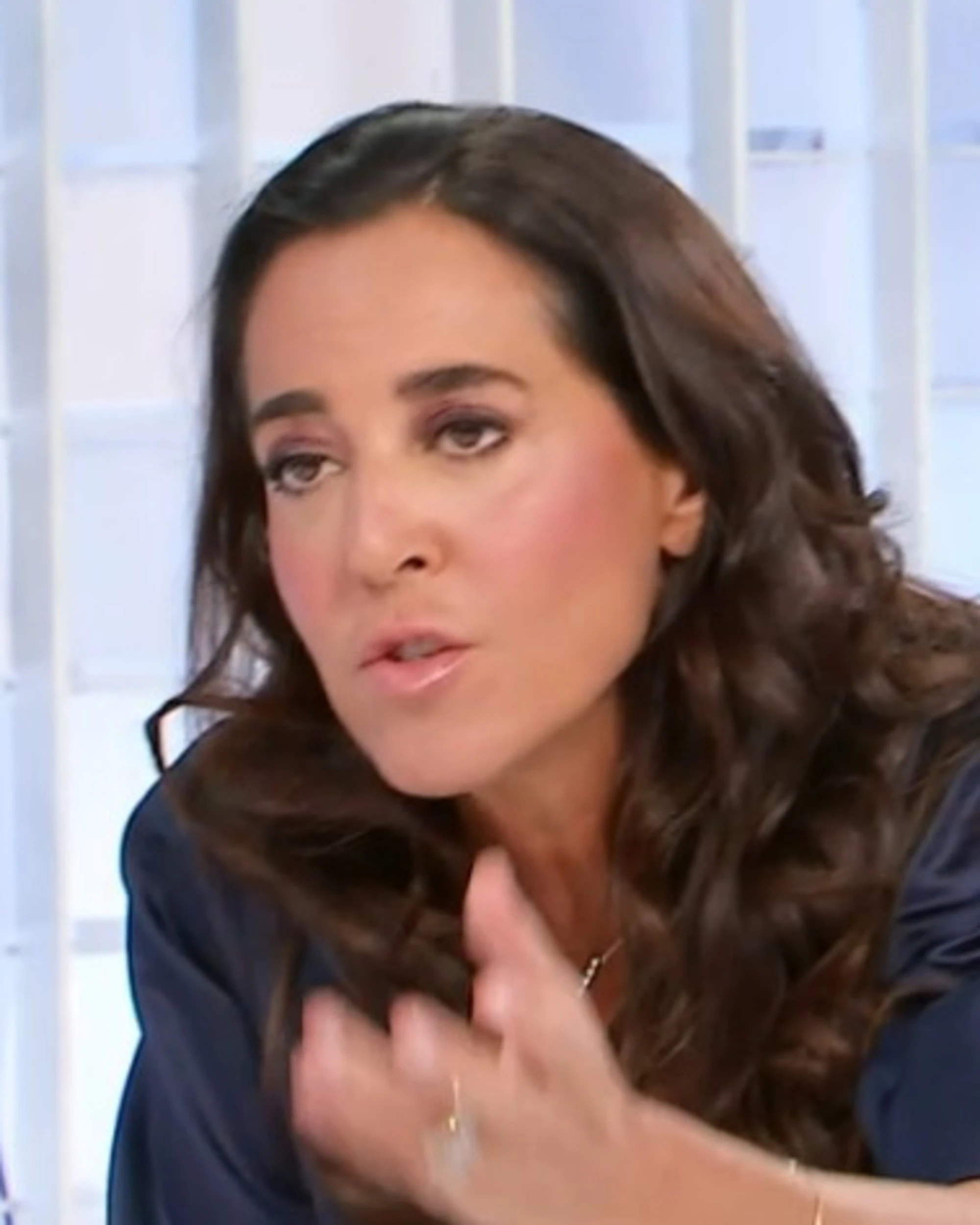 L'aria che tira, Ronzulli contro il giornalista del Fatto: "Siete anti-italiani"