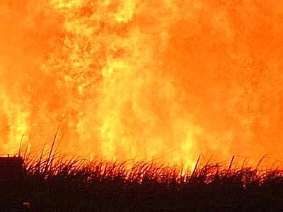 Aumenta il numero di incendi e la superficie interessata, 8.699 nel 2012
