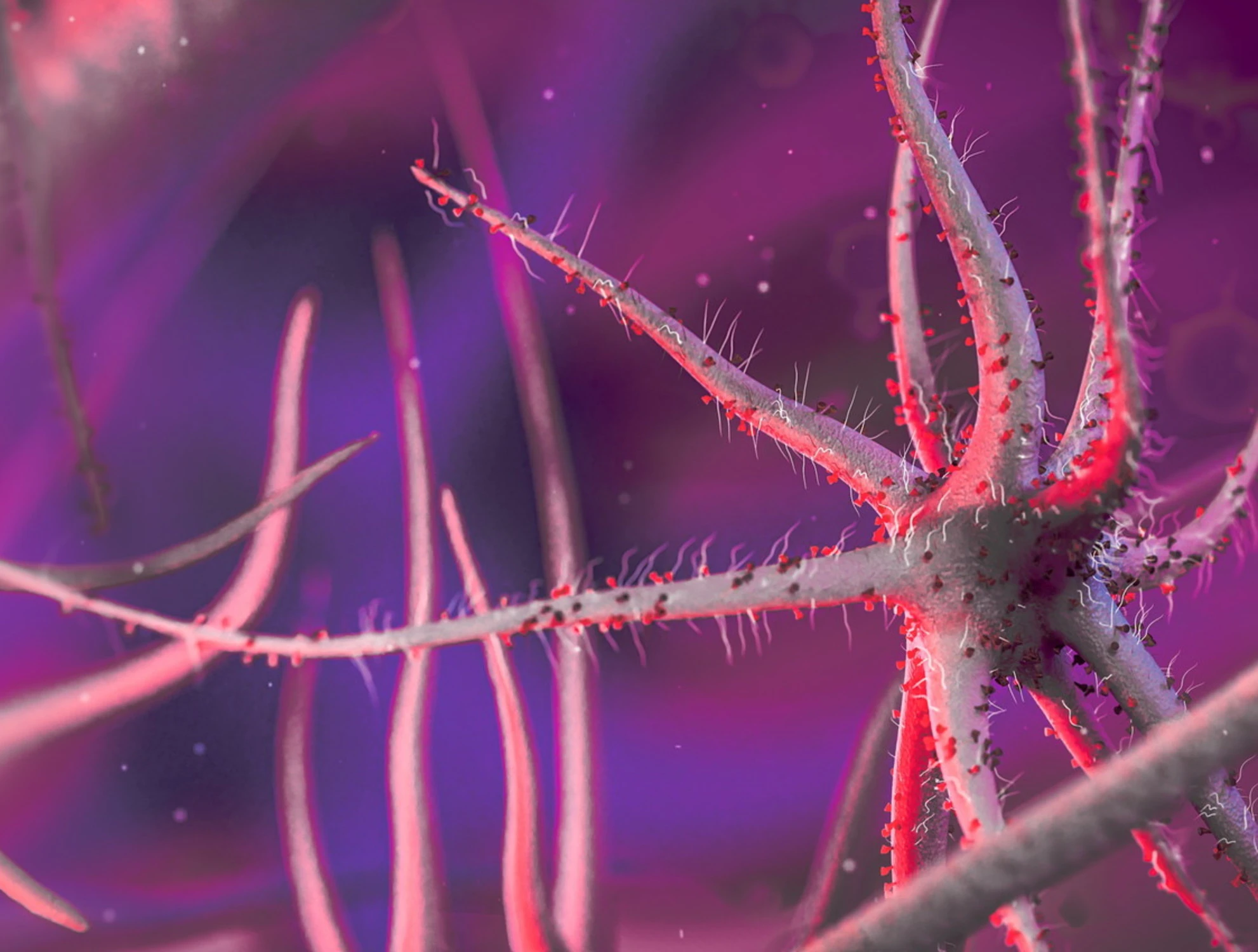 Tumori e infiammazioni, così "si spengono" le cellule