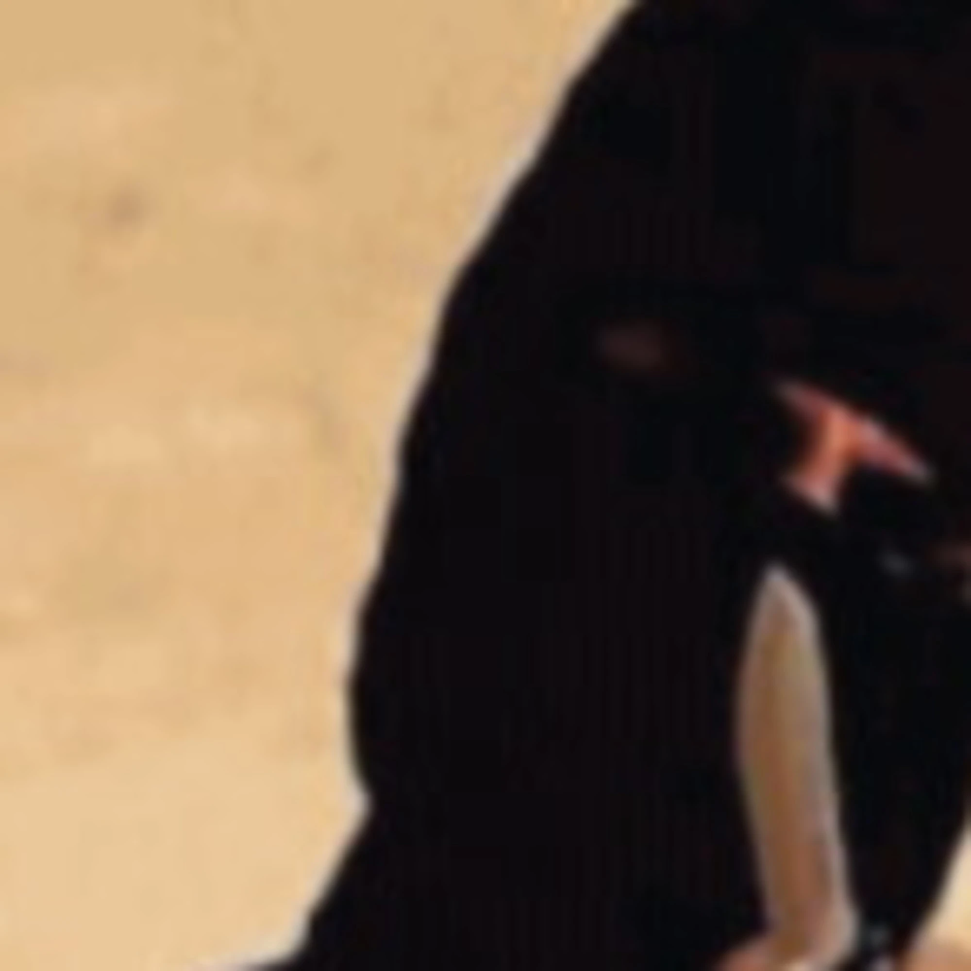 Videogiochi, social e chat: la jihad a portata di 14enne