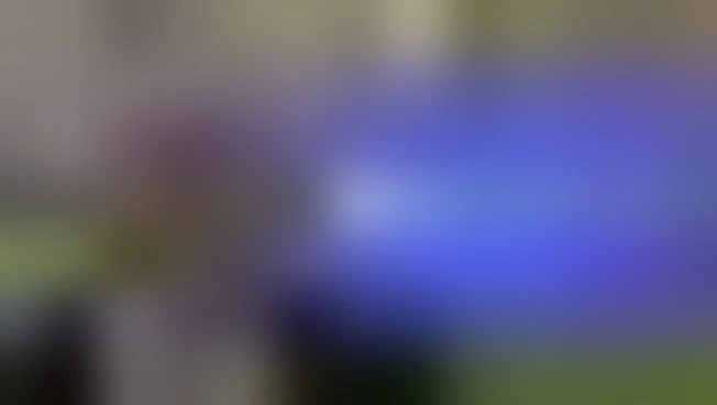 Orban: per rilanciare la competitività Ue non mandate soldi a Ucraina