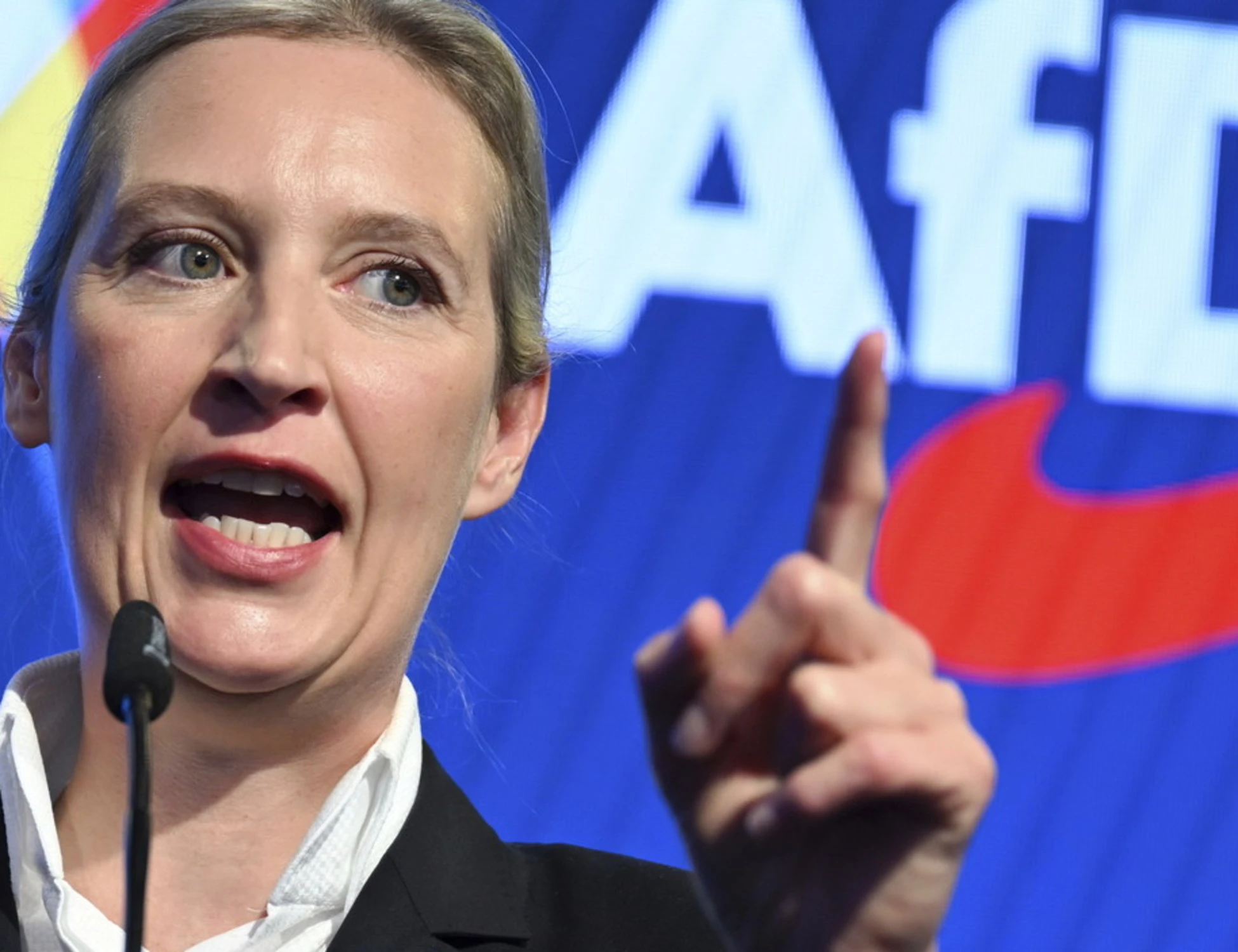 Germania, morti sei candidati di Afd a pochi giorni dal voto