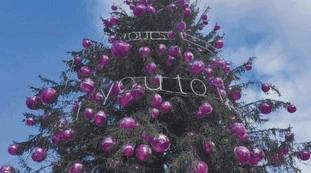 Salvini critica l'albero rosa? "Sessista": come si copre di ridicolo la sinistra