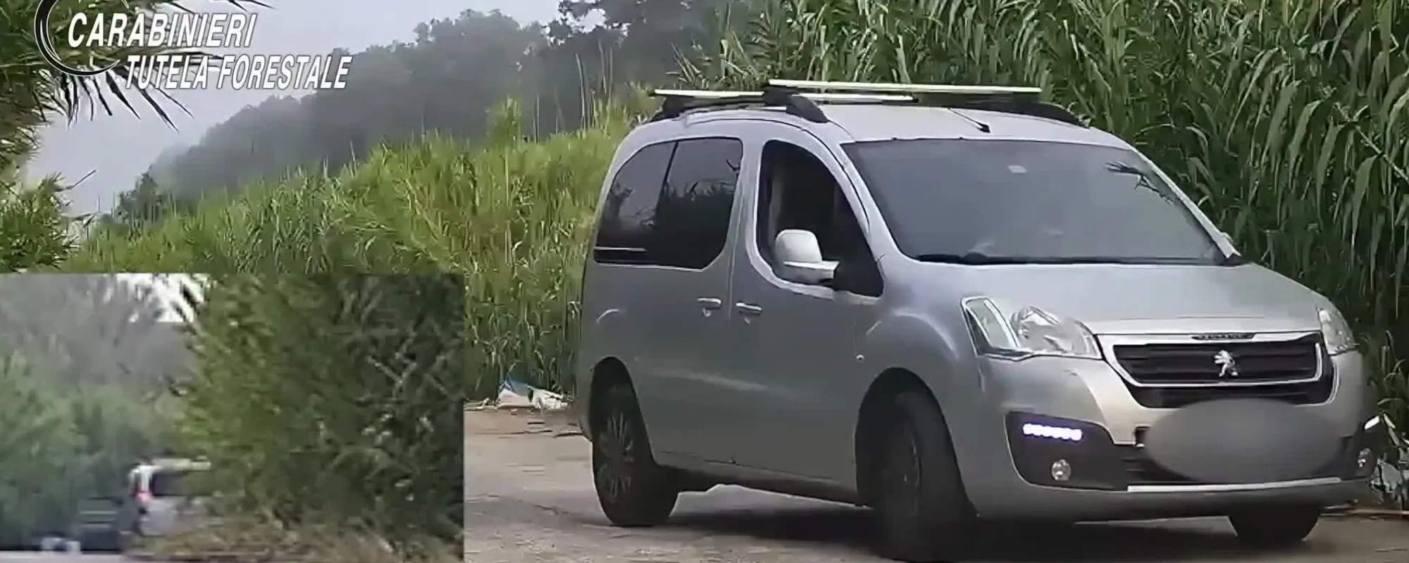 Ferma il furgone e lancia un cucciolo tra i rifiuti: chi è la belva